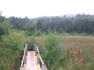 Appalachian Trail 