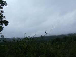 Appalachian Trail Field