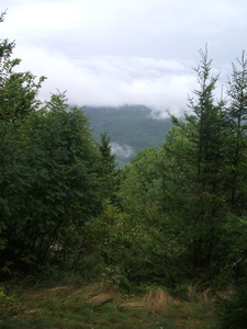 Appalachian Trail 