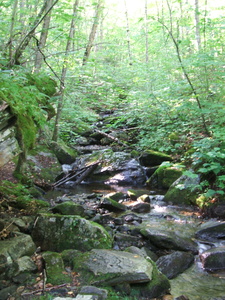 Appalachian Trail 