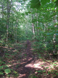 Appalachian Trail 