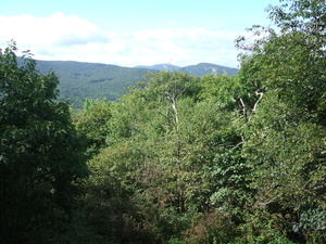 Appalachian Trail 