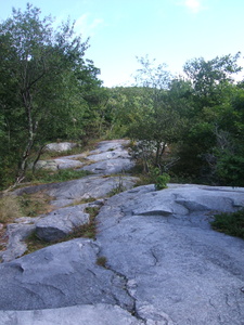 Appalachian Trail 