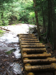 Appalachian Trail Ladder