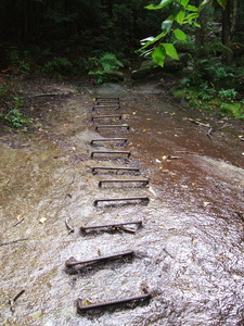 Appalachian Trail Ladder