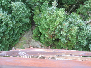 Appalachian Trail Looking down from Tower