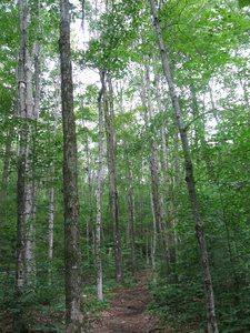 Appalachian Trail 