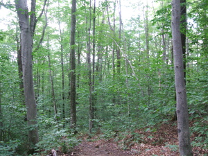 Appalachian Trail 