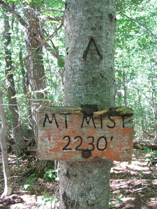 Appalachian Trail Mount Mist Sign, Elevation 2230 feet