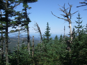 Appalachian Trail 