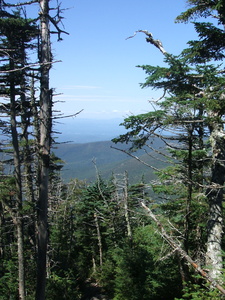 Appalachian Trail 