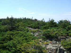 Appalachian Trail 