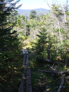 Appalachian Trail 