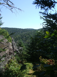 Appalachian Trail 