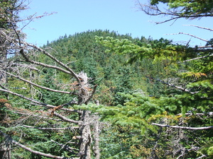 Appalachian Trail 