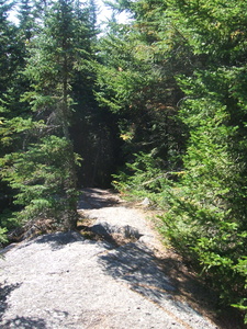 Appalachian Trail 