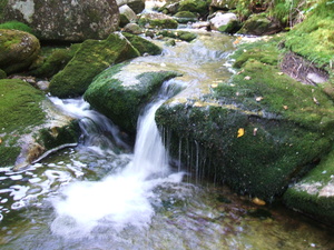 Appalachian Trail 