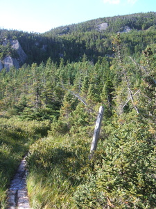 Appalachian Trail 