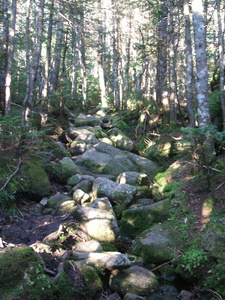 Appalachian Trail 