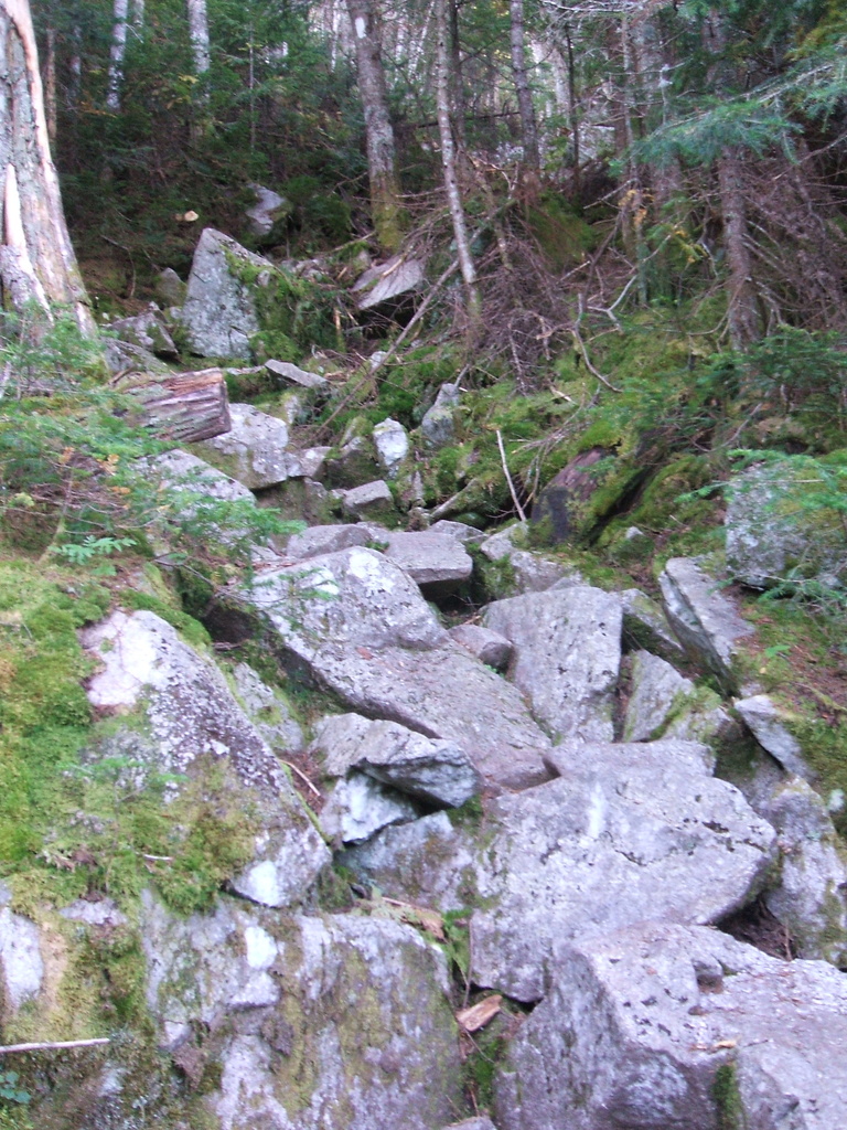 Appalachian Trail - 