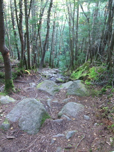 Appalachian Trail 