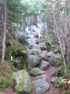 Appalachian Trail 