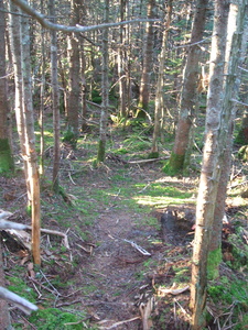 Appalachian Trail 