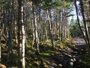 Appalachian Trail 