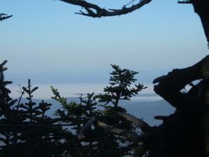 Appalachian Trail Fog in Valley