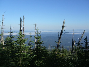 Appalachian Trail 