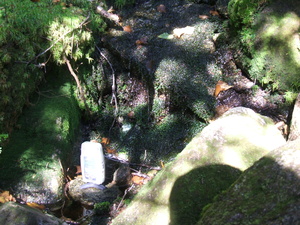 Appalachian Trail Sound Recording