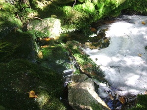 Appalachian Trail Sound Recording