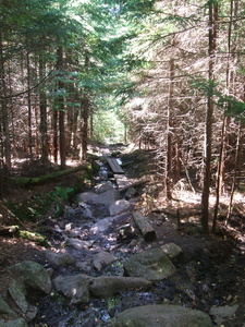 Appalachian Trail 