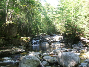 Appalachian Trail 