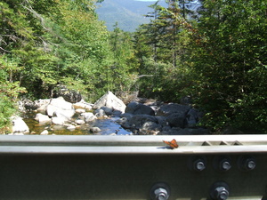 Appalachian Trail Butterfly and Bridge