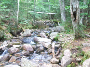 Appalachian Trail 