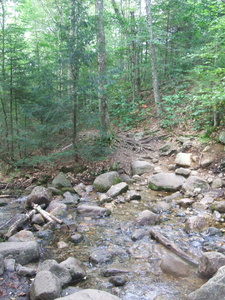 Appalachian Trail 