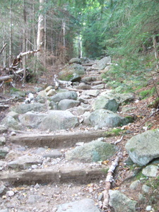 Appalachian Trail Steps