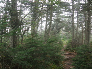 Appalachian Trail 