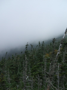 Appalachian Trail 