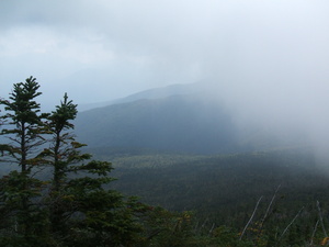 Appalachian Trail Fog