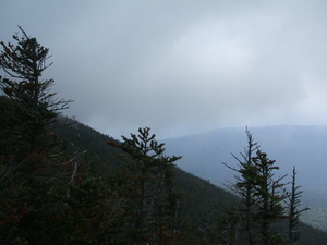 Appalachian Trail Fog