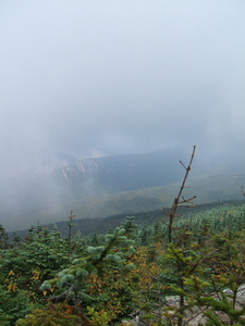 Appalachian Trail Fog