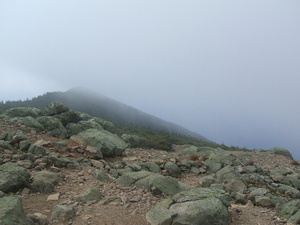 Appalachian Trail Fog