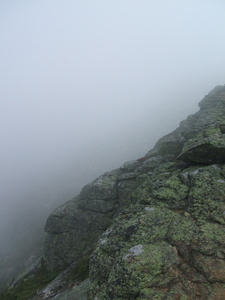 Appalachian Trail Fog