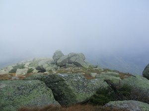 Appalachian Trail Fog