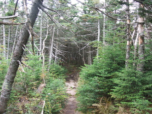 Appalachian Trail 