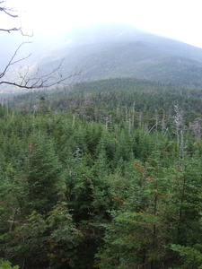 Appalachian Trail 