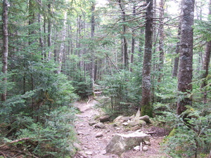 Appalachian Trail 