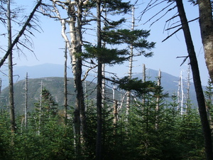 Appalachian Trail 